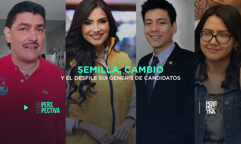 Semilla, Cambio y el desfile sui generis de candidatos