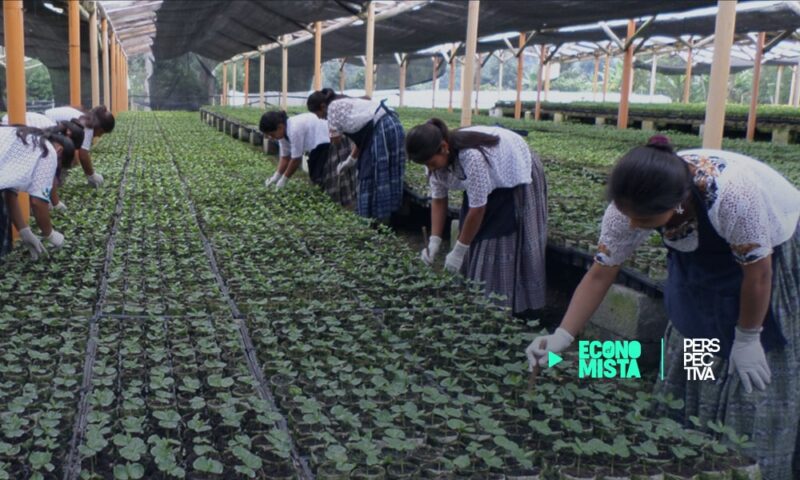 Agroindustria, construcción y turismo podrían impulsar la economía en Centroamérica en 2023