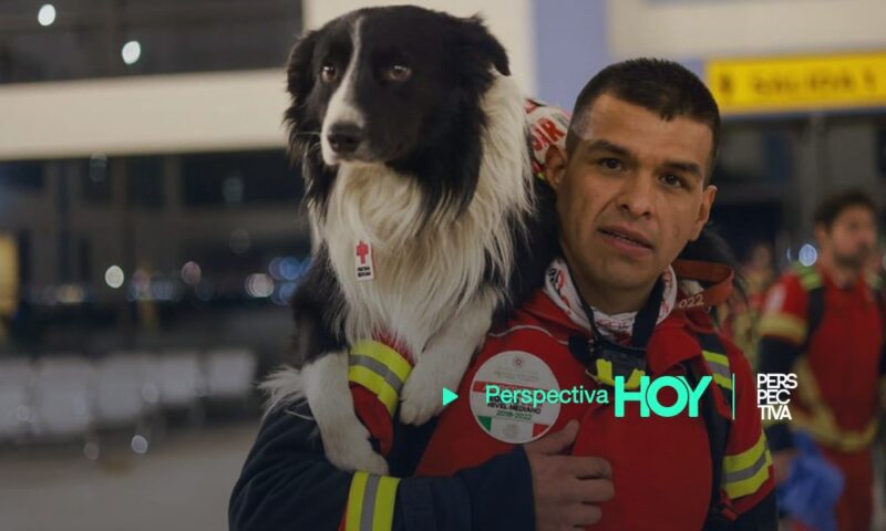 México envía perros rescatistas a Turquía