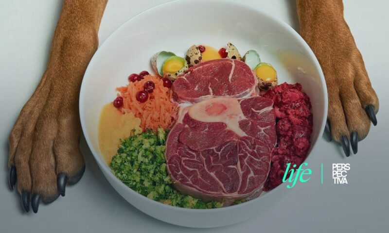 ¿Qué es la dieta BARF?