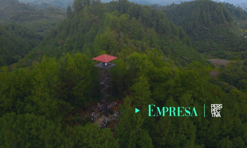 Hidroeléctrica Renace habilita torres de control en reserva natural Sankil Ché