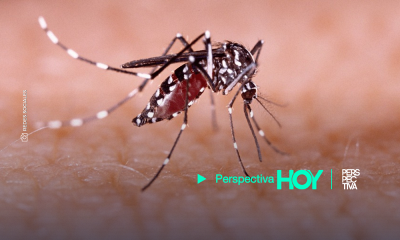 Salud declara Emergencia Sanitaria Nacional por epidemia de dengue