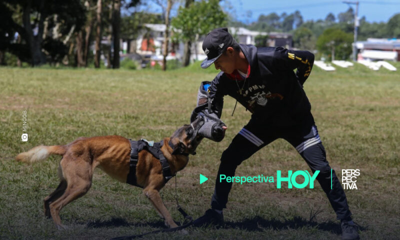 Unidad Canina