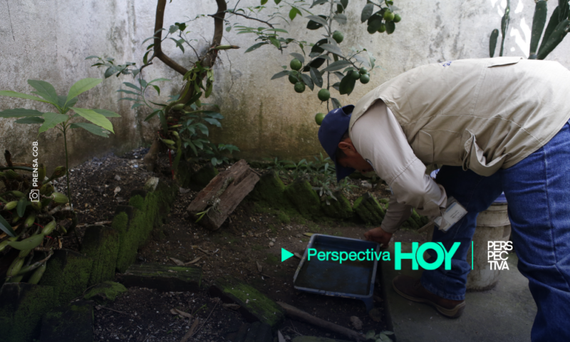 Salud: Suman más de 20 mil casos de dengue y 34 fallecidos; piden mantener prevención