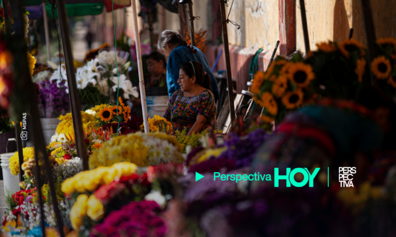 Día de todos los Santos: Salud centra recomendaciones en evitar más contagios de dengue