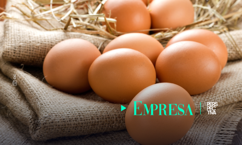 DÍA MUNDIAL DEL HUEVO