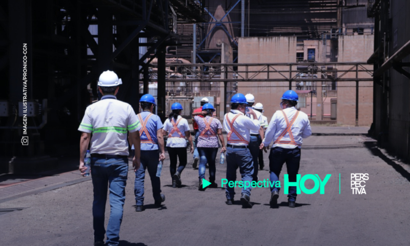 PRONICO: Falta de renovación credenciales de exportación sigue afectando a trabajadores