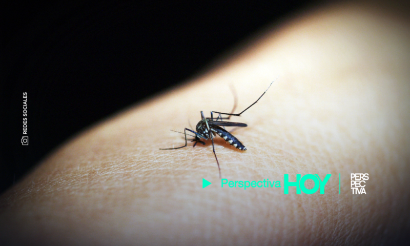 ¡No bajes la guardia! Salud reporta 57,648 casos de dengue y 89 fallecidos en lo que va del 2023