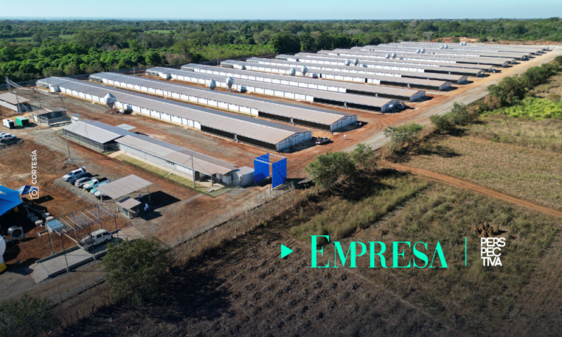 ¡Un paso más hacia la transformación! CMI inaugura nueva granja avícola en Santa Rosa