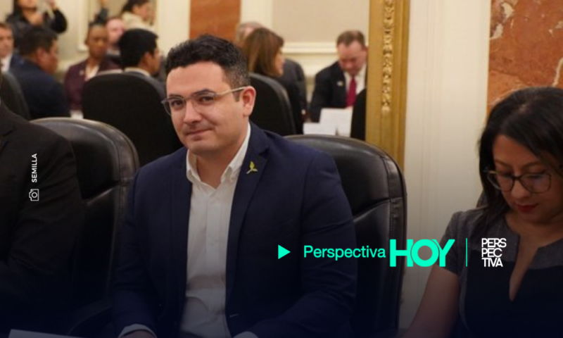 La CC no otorgó el amparo solicitado por Semilla; diputados asumirán como «Independientes»