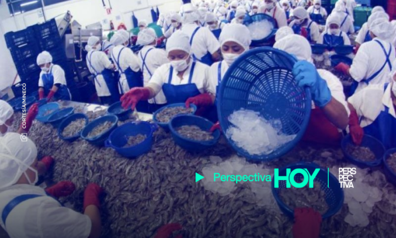 Guatemala y México sostienen diálogo por tema de exportación de camarón hacia ese país