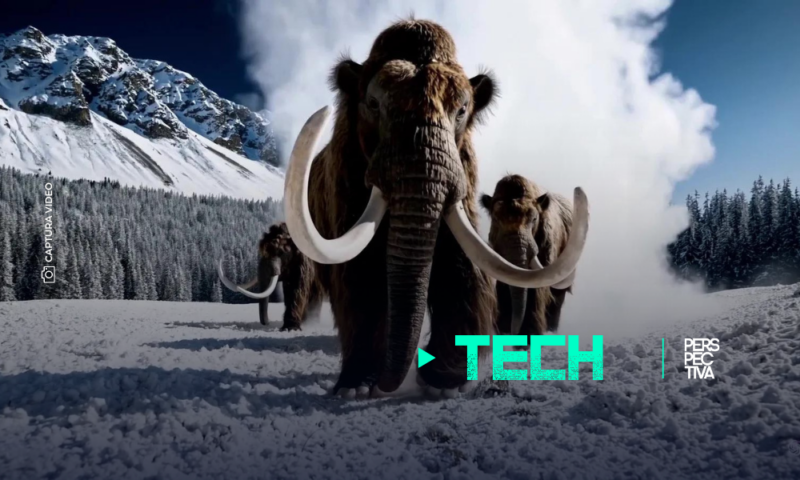 Sora, el nuevo modelo de OpenAI que convierte texto en videos realistas