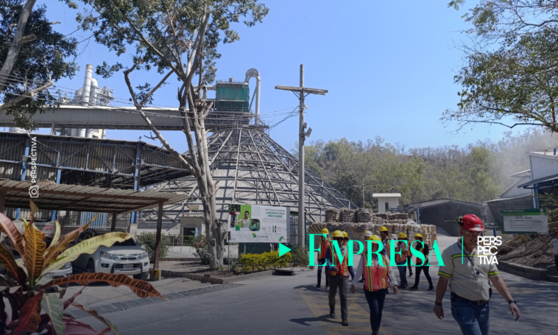 ¡Comprometidos con la sostenibilidad! Así gestiona Proverde los residuos de forma integral