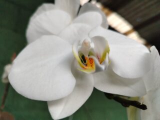 IMG_20240305_180316