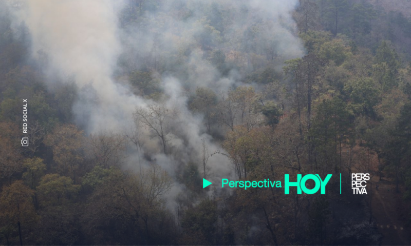 MP investiga posibles causas del incendio en Sierra de las Minas