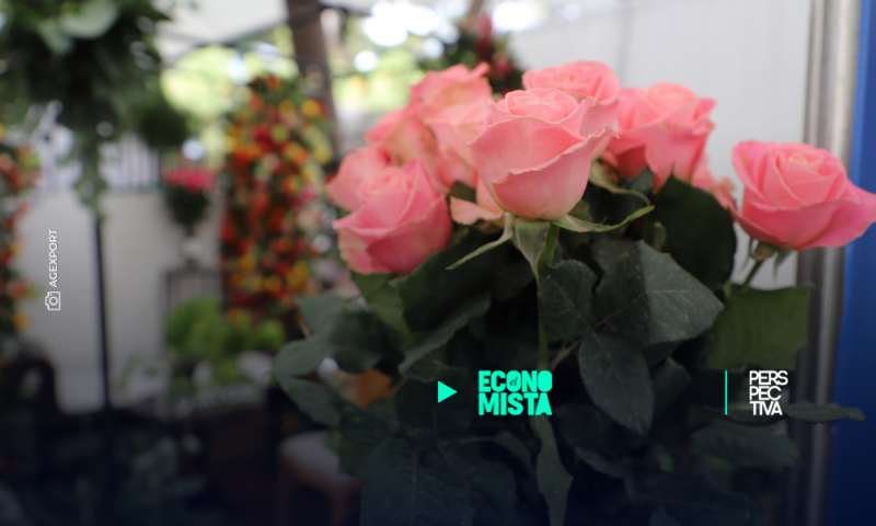 Flores y plantas guatemaltecas son exportadas a diferentes destinos por el Día de las Madres