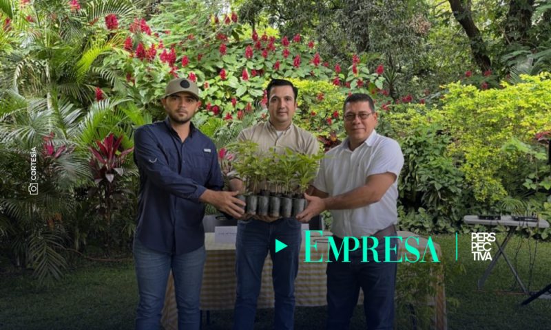 ¡Compromiso con el medio ambiente! Cementos Progreso y el MARN reforestan El Progreso