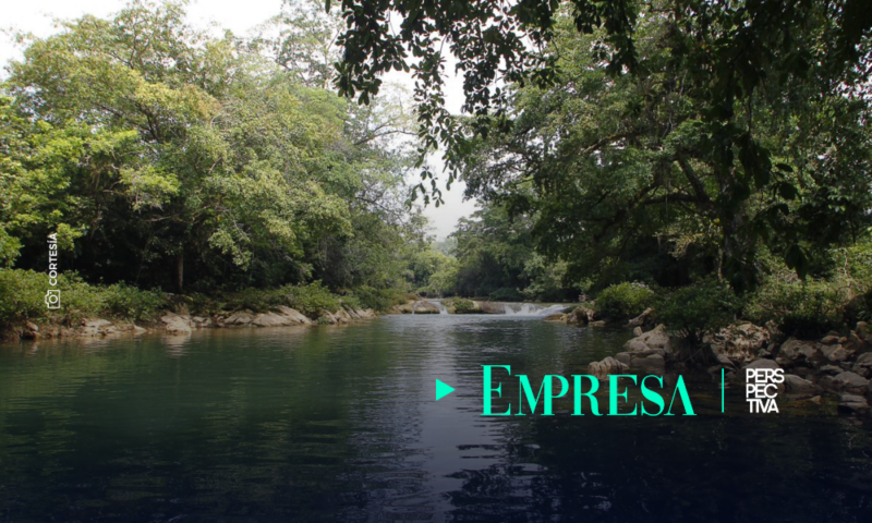 Así se sumó GREPALMA a la conmemoración del Día Mundial del Medio Ambiente