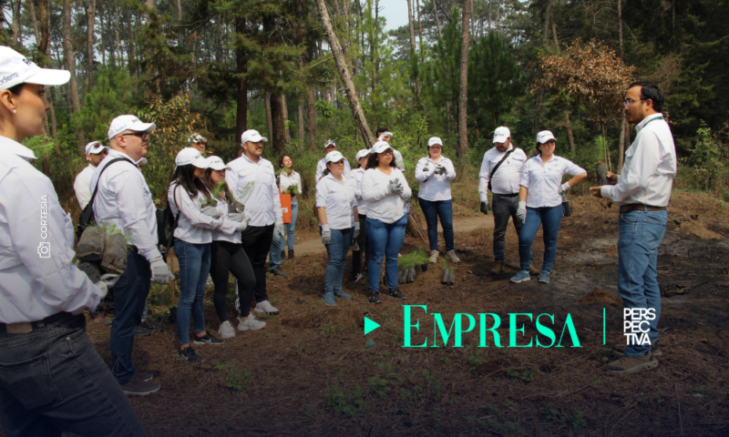 Pradera promueve jornada de reforestación en Chimaltenango