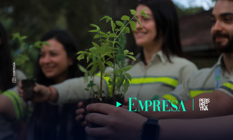 Proyectos innovadores reflejan el compromiso de PROGRESO con el ambiente