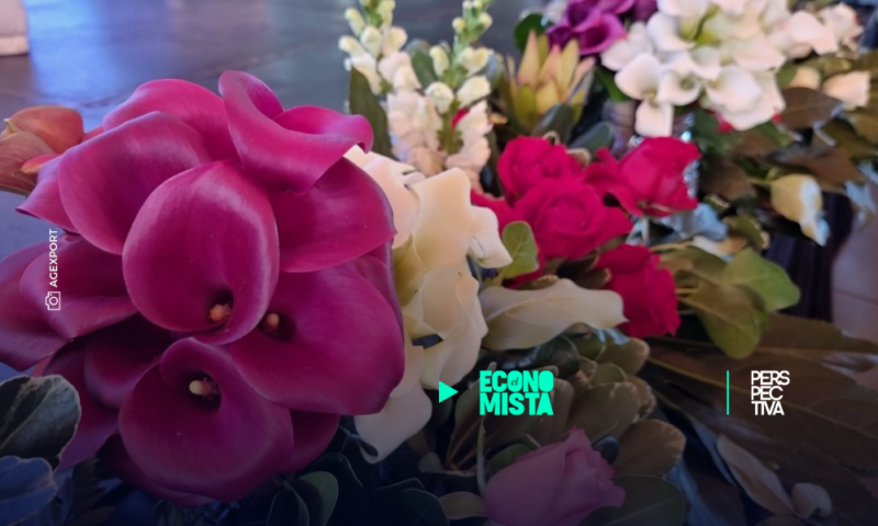 Reportan crecimiento del 11% en exportaciones de plantas y flores guatemaltecas