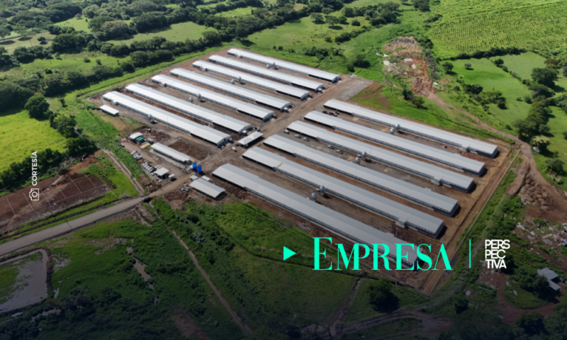 CMI inaugura una nueva granja avícola en Chiquimulilla, Santa Rosa