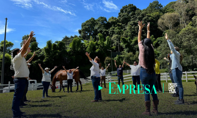 Fundación Carlos F. Novella: Transformando vidas con terapia a personas vulnerables