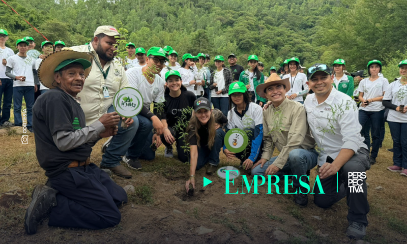 AgroProgreso fortalece el ecosistema con mil árboles de mezquite en Sanarate