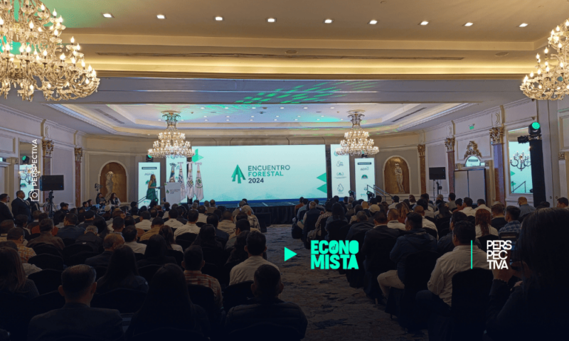 Encuentro Forestal reúne a expertos para impulsar el desarrollo del sector