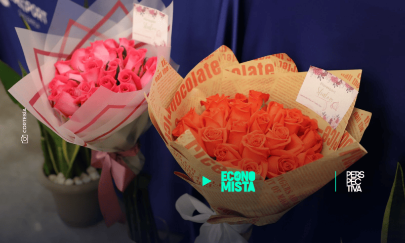 Guatemala lideró exportación de plantas ornamentales con US$81 millones en 2024