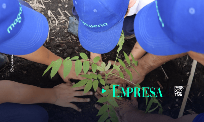 Magdalena presenta Informe de Sostenibilidad 2023-2024