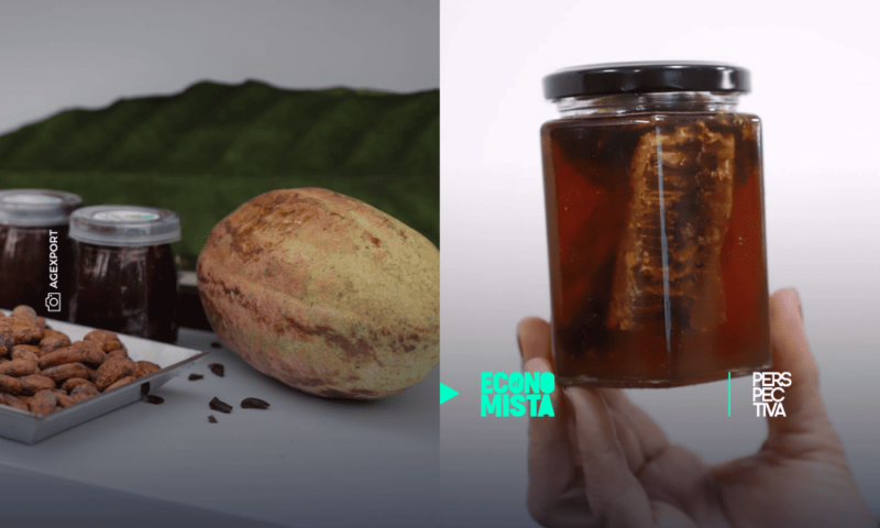 Exportadores de Cacao y Miel buscan fortalecer el sector en el 2025