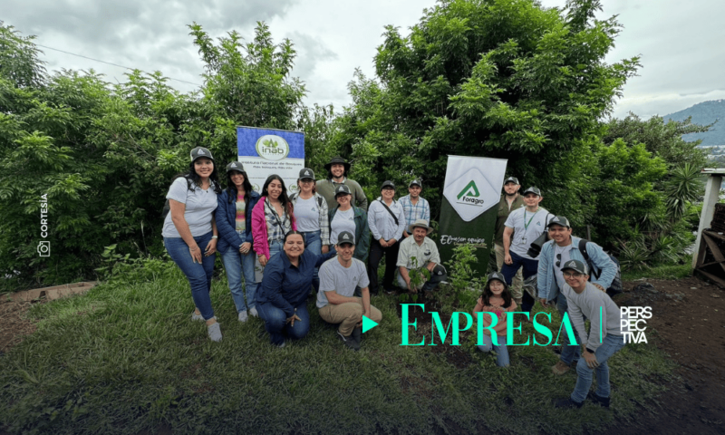 Foragro impulsa la protección del suelo en Guatemala