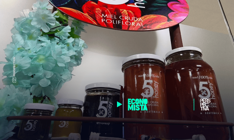 La importancia de las abejas: Polinización, agricultura y biodiversidad