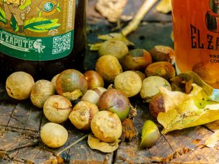 Cerveceria Zapote – Brown Ale – Petén 2025 (27 of 132) (1)