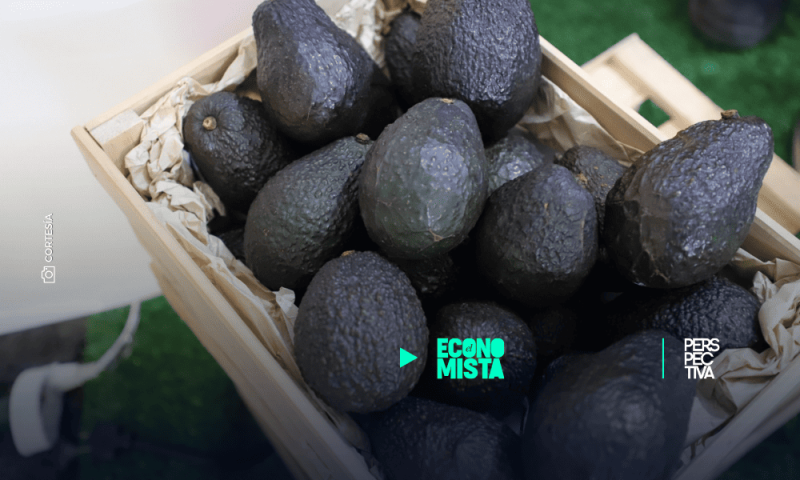 Aguacate como proyecto país e impulso exportador en el 5º Congreso Nacional