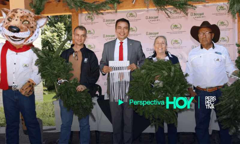 ¡Comienza la Navidad! INAB y CONAP Dan Inicio a las Ferias del Pinabete 2025