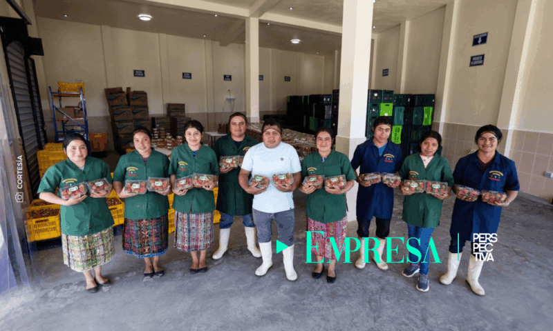 Comercializadora Margarita Transforma Producción de Fresas con Walmart