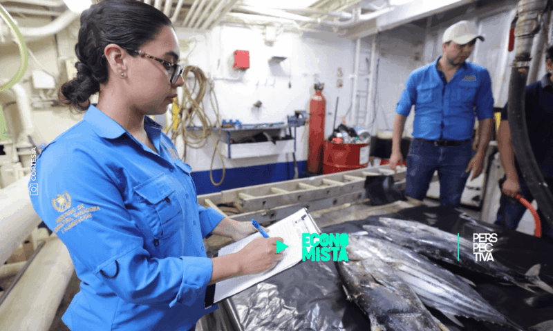 Exportaciones de pescado, atún y camarón superan los Q866 millones en 2025