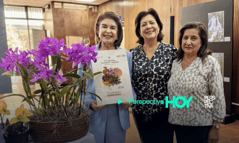 Naturaleza hecha arte: 51ª Exposición Nacional de Orquídeas en Guatemala