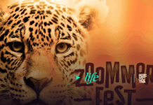 Zoommer Fest: Imperdible Noche familiar en el Zoológico La Aurora