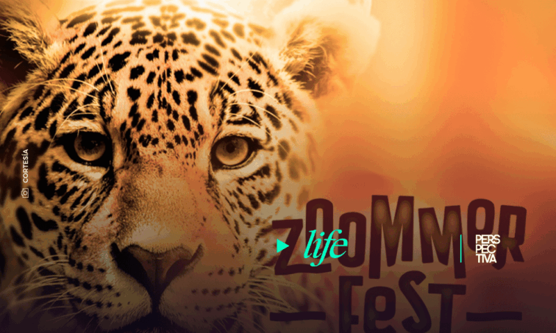 Zoommer Fest: Imperdible Noche familiar en el Zoológico La Aurora