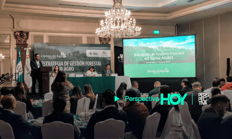 Camagro lanza Estrategia de Gestión Forestal para impulsar la sostenibilidad del agro