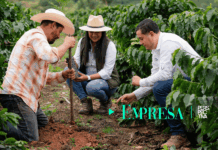 Nestlé siembra 2 millones de árboles en Centroamérica impulsando agricultura regenerativa