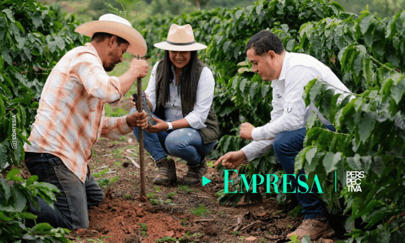 Nestlé siembra 2 millones de árboles en Centroamérica impulsando agricultura regenerativa