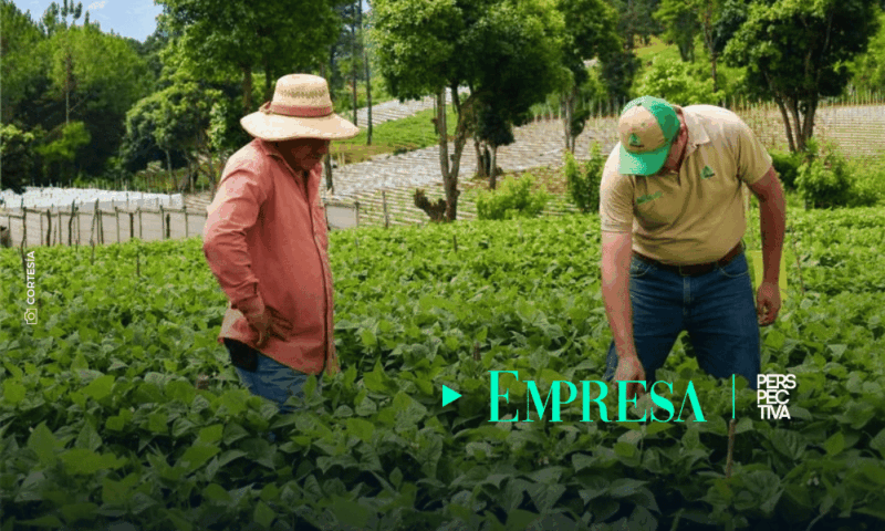 Foragro impulsa la tecnificación agrícola para fortalecer las cosechas en Guatemala