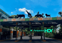 Zoológico La Aurora estrena torre de parqueo con capacidad para más de 1,000 vehículos