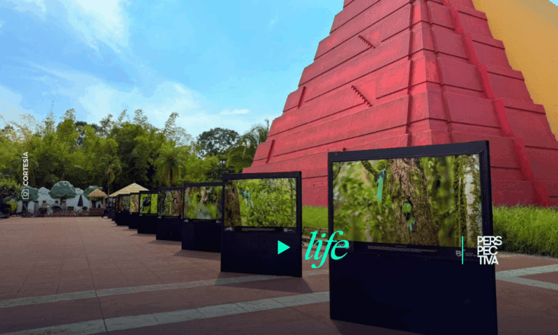 Exposición fotográfica «Historia del IRTRA» transforma el Parque Xetulul en una galería 