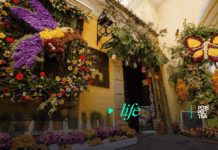 Antigua Guatemala celebra la 10ª edición del Festival de las Flores; una década de historia Fachadas e intervenciones artísticas en La Antigua Guatemala durante la 10ª edición del Festival de las Flores