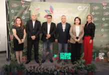 El sector de plantas ornamentales busca recuperar crecimiento y competitividad Flores y plantas ornamentales de exportación producidas por empresas guatemaltecas.